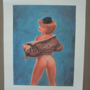 Natasja - "Stripfiguren door de ogen van Jan Bosschaert" op formaat 60 x 42