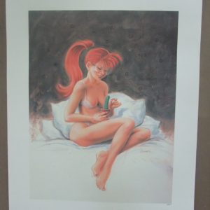 Juffrouw Janny - "Stripfiguren door de ogen van Jan Bosschaert" op formaat 60 x 42