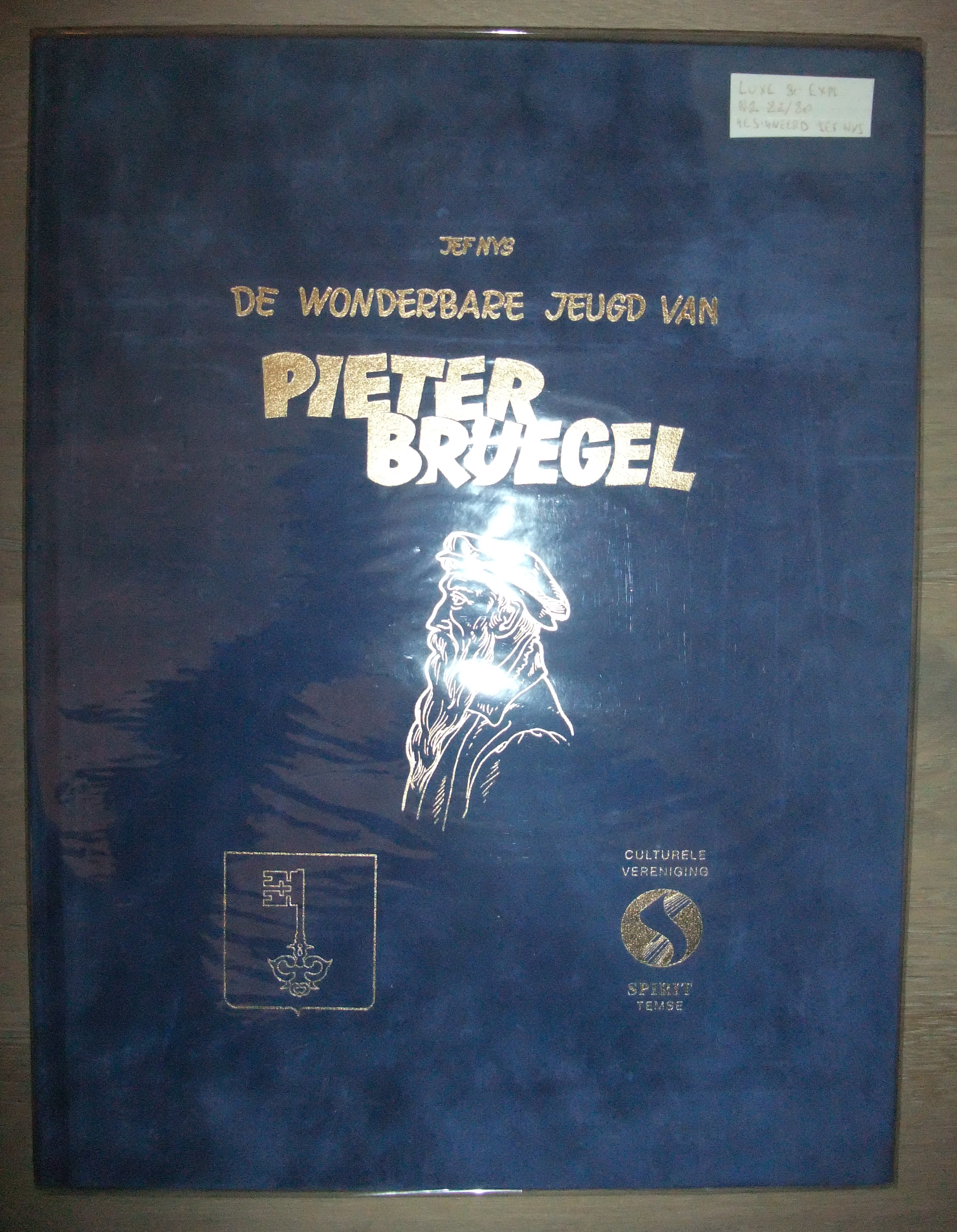 Luxe Jef Nijs / De wonderbare jeugd van Pieter Bruegel